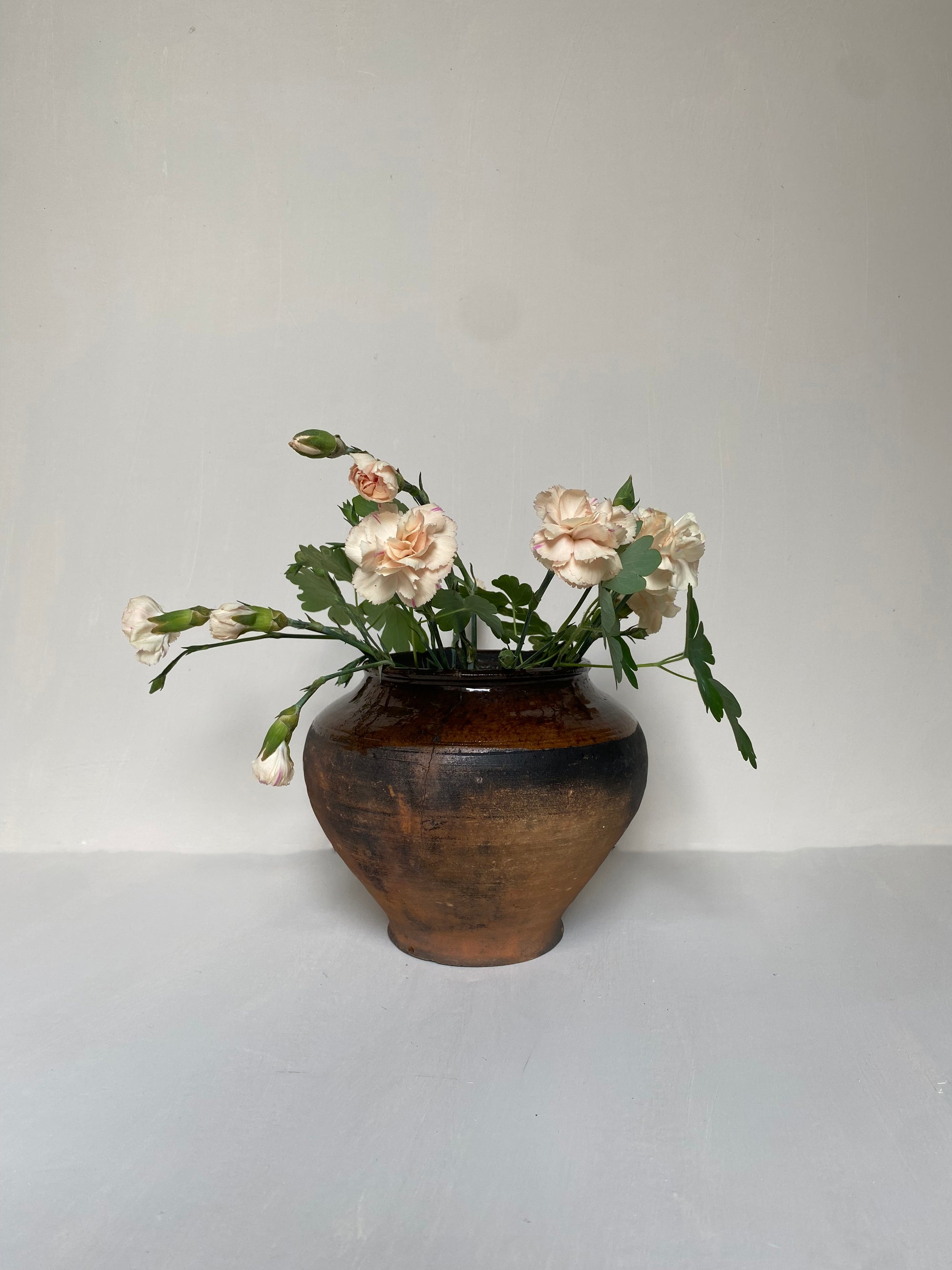 Small flower pot-floral arrangement in a vase against a plain background